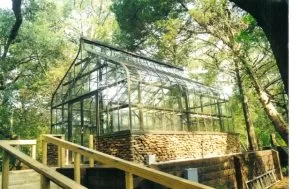 Cat Springs | Southern Greenhouses
