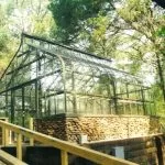 Cat Springs | Southern Greenhouses