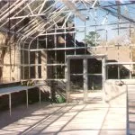 Inside Regal | Southern Greenhouses