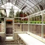 Inside Greenhouse | Southern Greenhouses