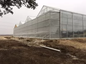 IMG | Southern Greenhouses