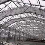 IMG | Southern Greenhouses