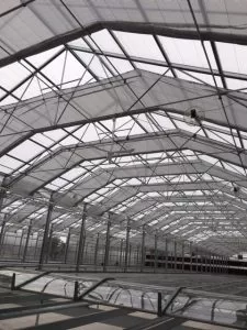 IMG | Southern Greenhouses