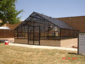 greenhouse 6Tarant GH